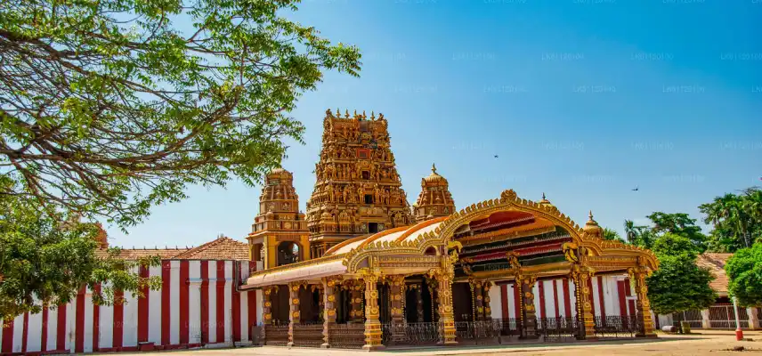 03 Nights 04 Days Sri Lanka Tour - Sri Lanka Travel Experience