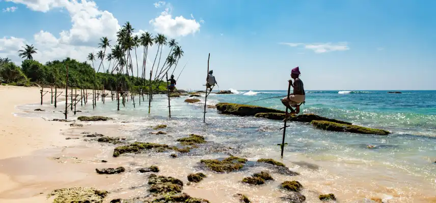 07 Nights 08 Days Sri Lanka Highlights Tour - Sri Lanka Travel Experience