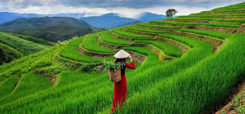 Vietnam Highlights Tour - Travel Experience