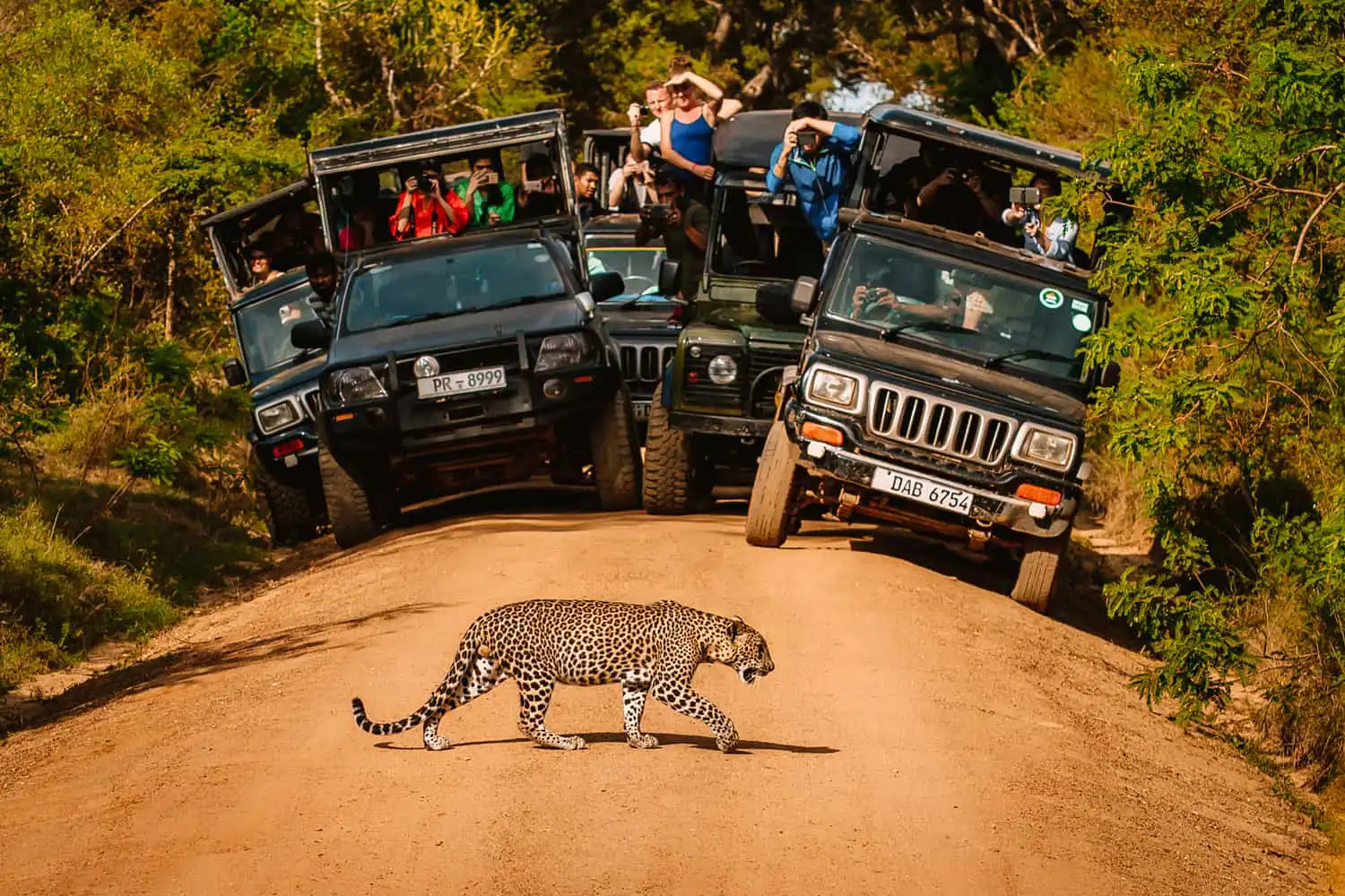07 Nights 08 Days Sri Lanka Highlights Tour - inbound Package Sri Lanka