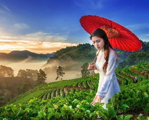 Vietnam Highlights Tour